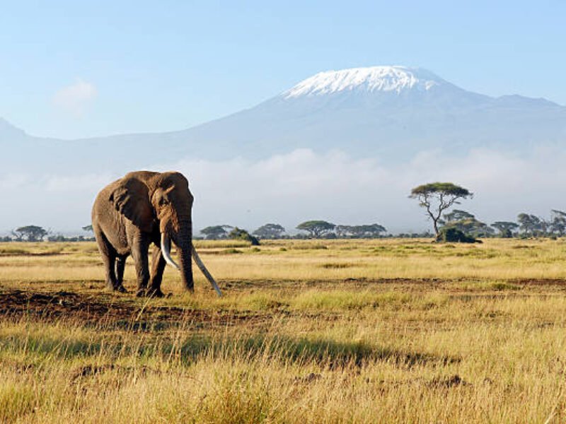 10 Days Classic Kenya Wildebeest Migration Safari 2026/2027