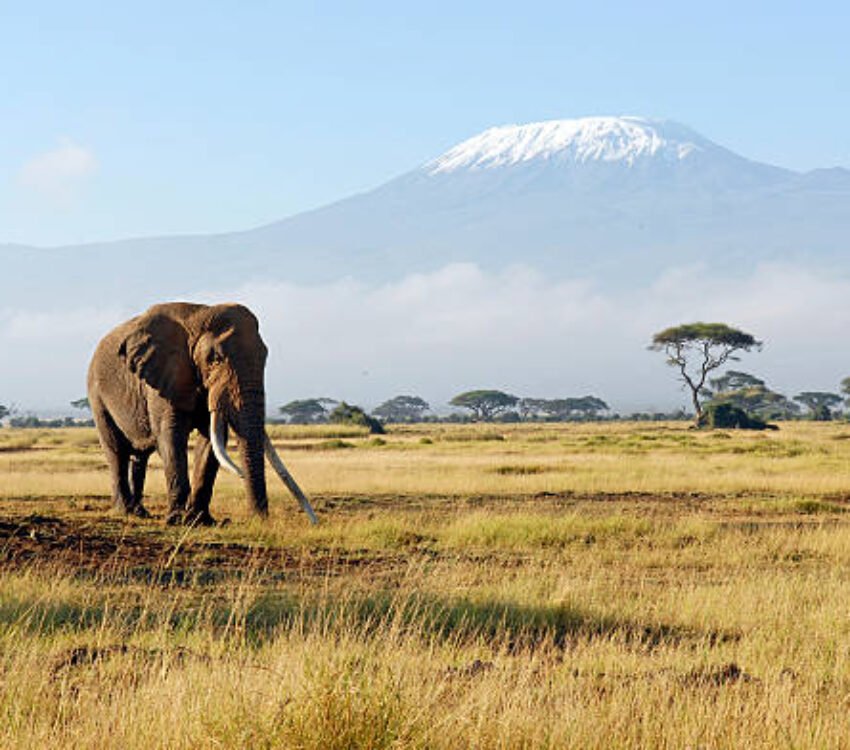 10 Days Classic Kenya Wildebeest Migration Safari 2026/2027