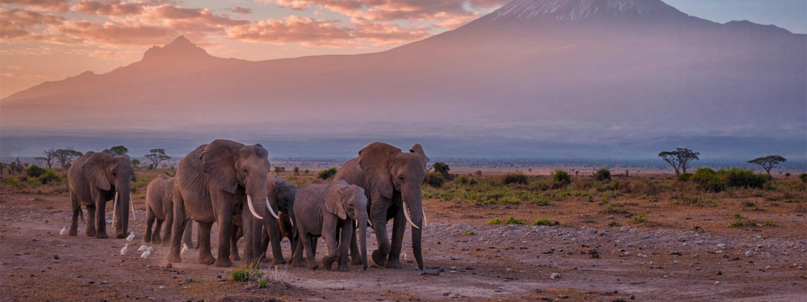 Amboseli National Park