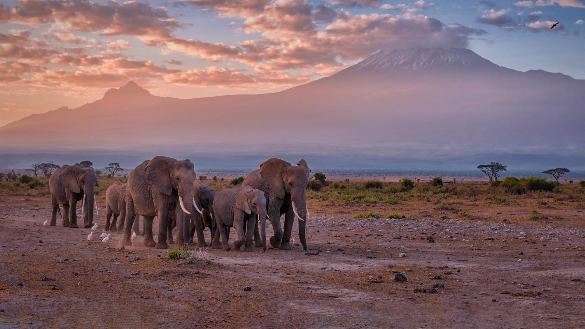 Amboseli National Park