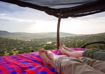 Top Destinations for a Honeymoon Safari in Africa