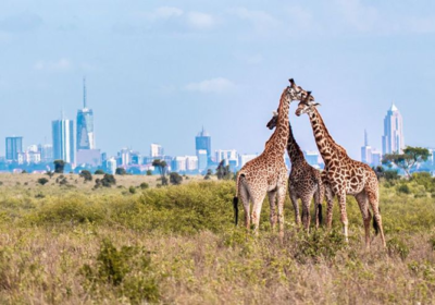 Best National Parks to Visit from Nairobi