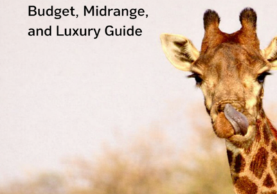 How Much Does a Kenya Safari Cost? Budget, Midrange, and Luxury Guide