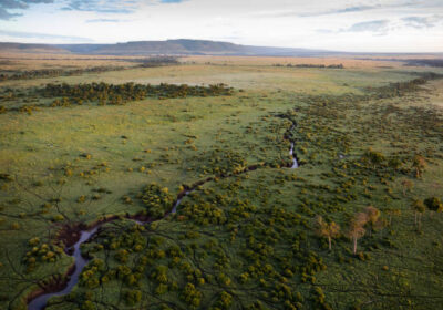 Is Mara Triangle the Quiet Gateway to the Great Migration in African Savannah ?