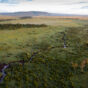 What Makes Naboisho Conservancy the Best Maasai Mara Safari Destination in Kenya?