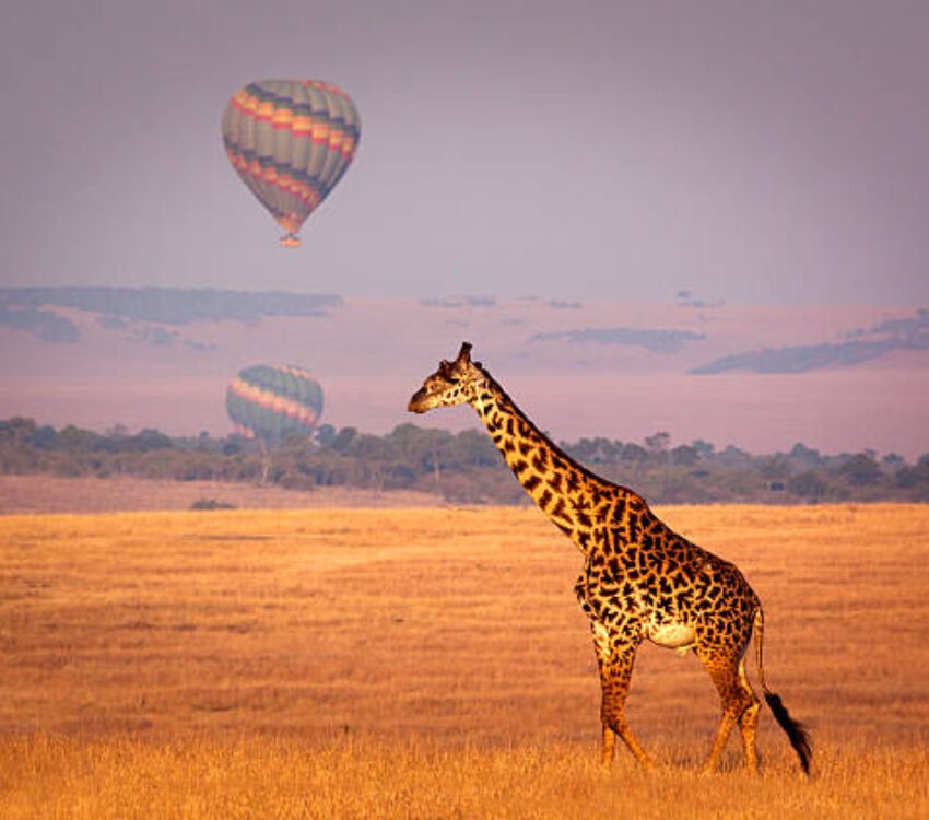 7 Days Magical Kenya Wildebeest Migration Safari 2026/2027