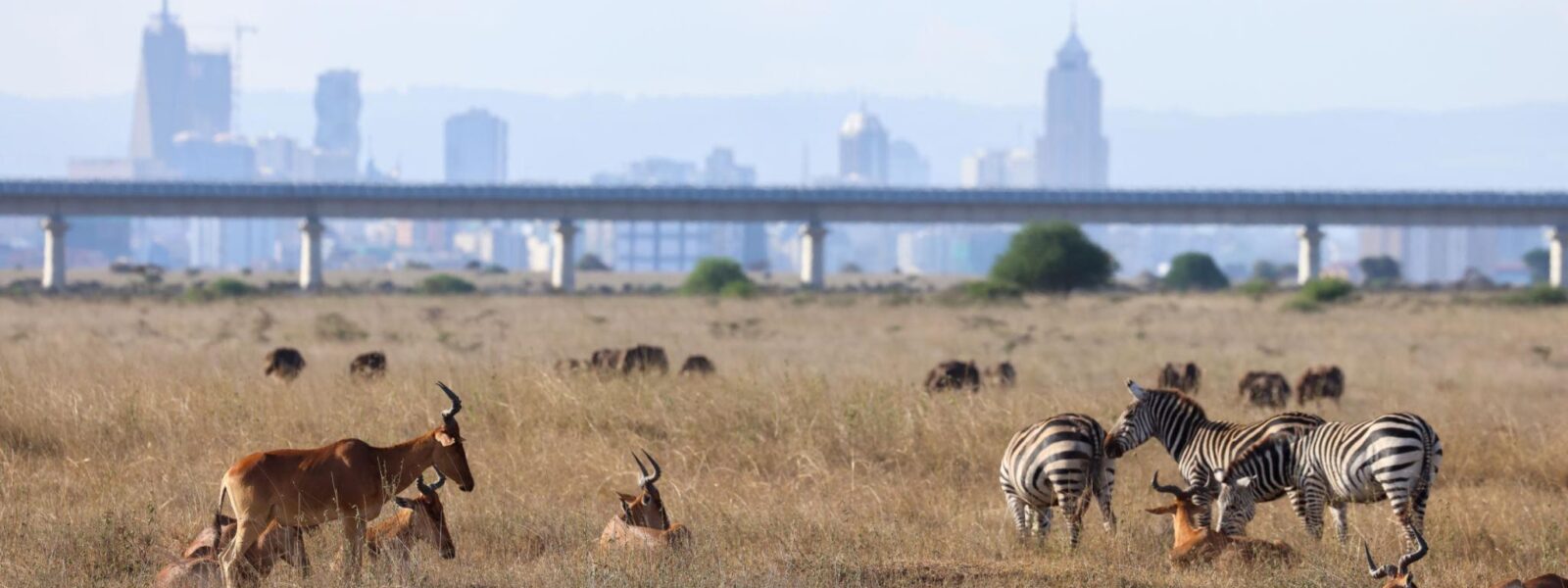 Nairobi National Park