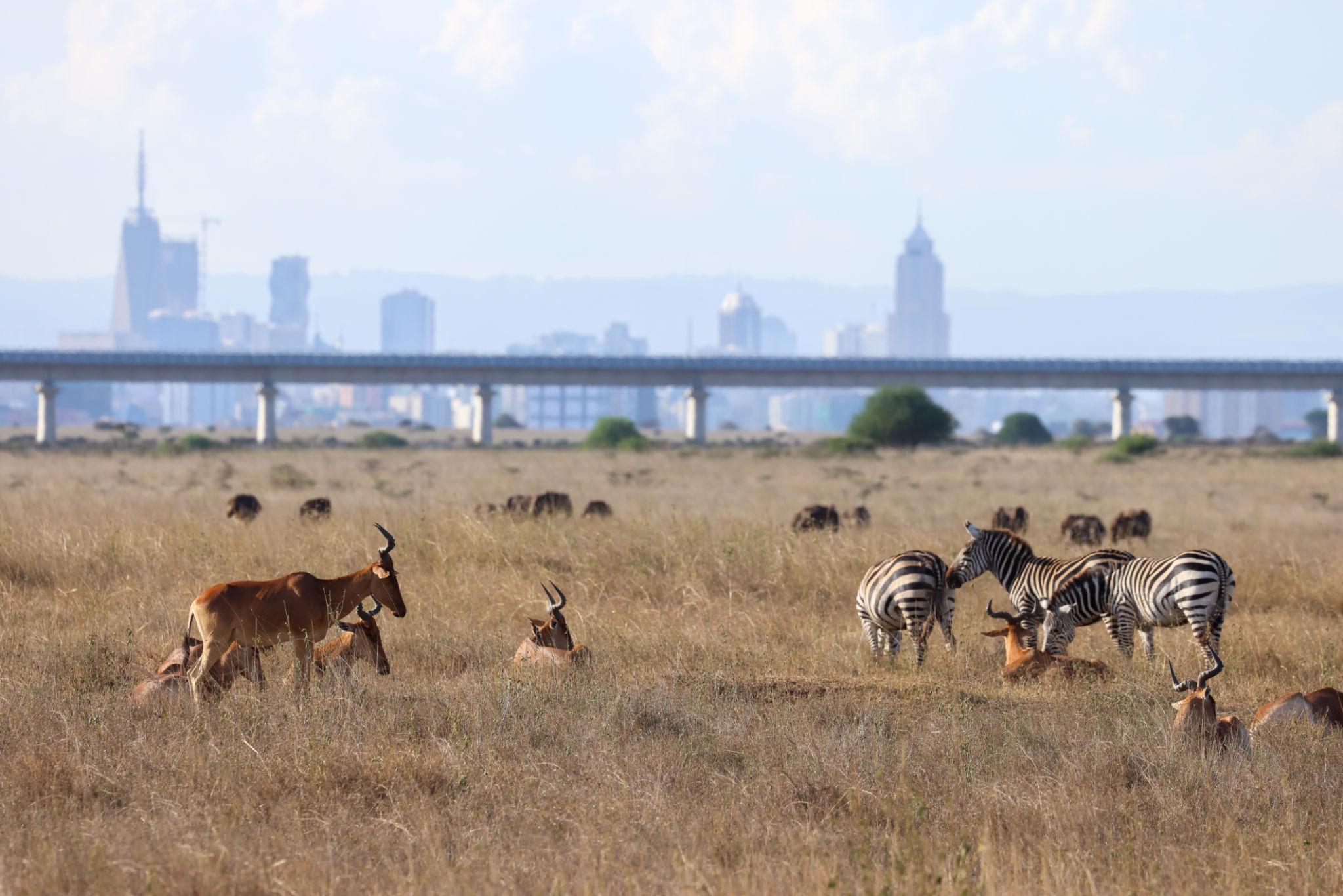 Nairobi National Park