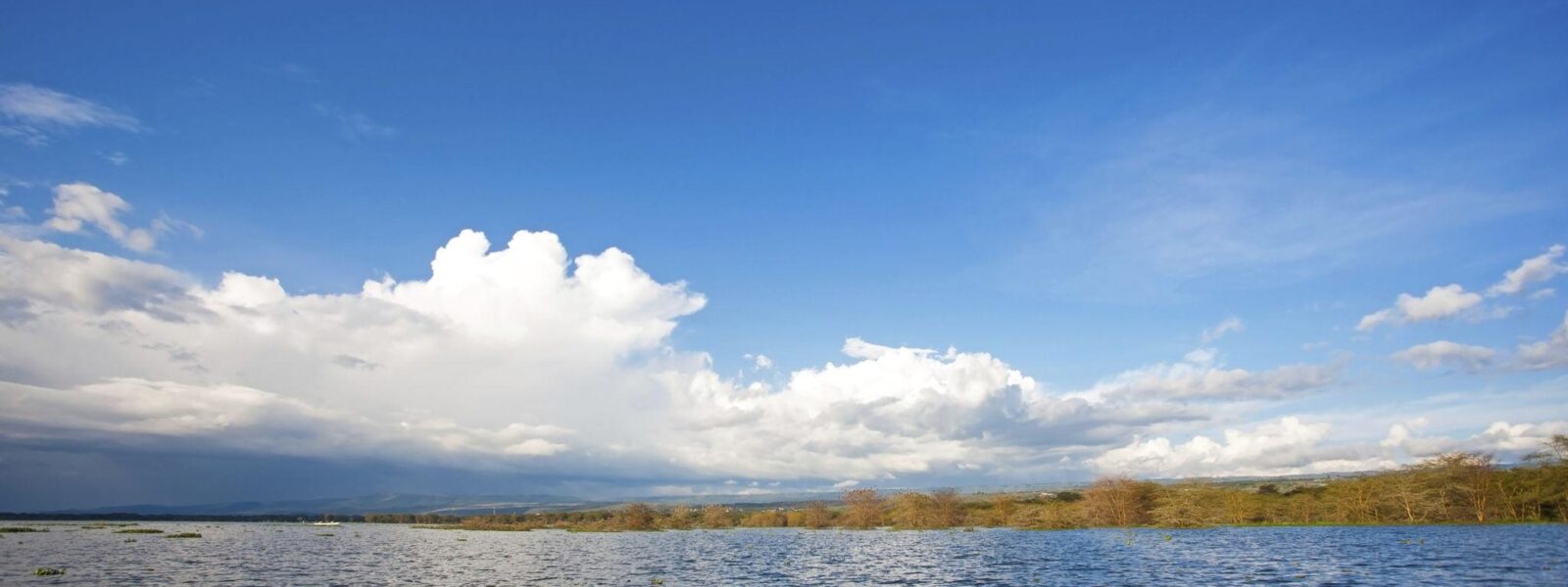 Lake Naivasha