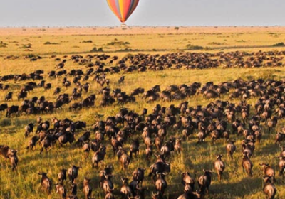 Recommended Kenya Safaris for First-Time Visitors