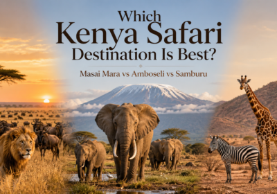 Which Kenya Safari Destination is Best?