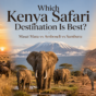 What Makes Naboisho Conservancy the Best Maasai Mara Safari Destination in Kenya?