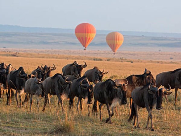 13 Days Bespoke Honeymoon Safari and Beach 2026/2027