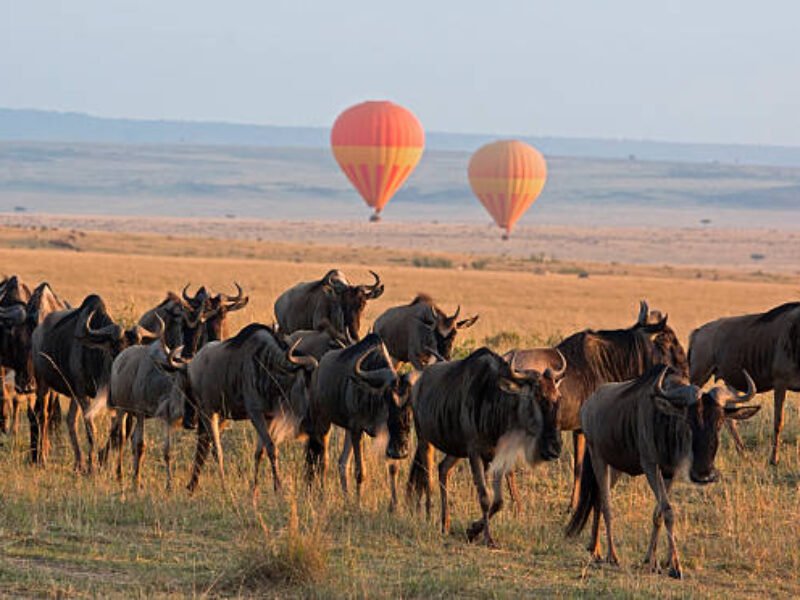 13 Days Bespoke Honeymoon Safari and Beach 2026/2027