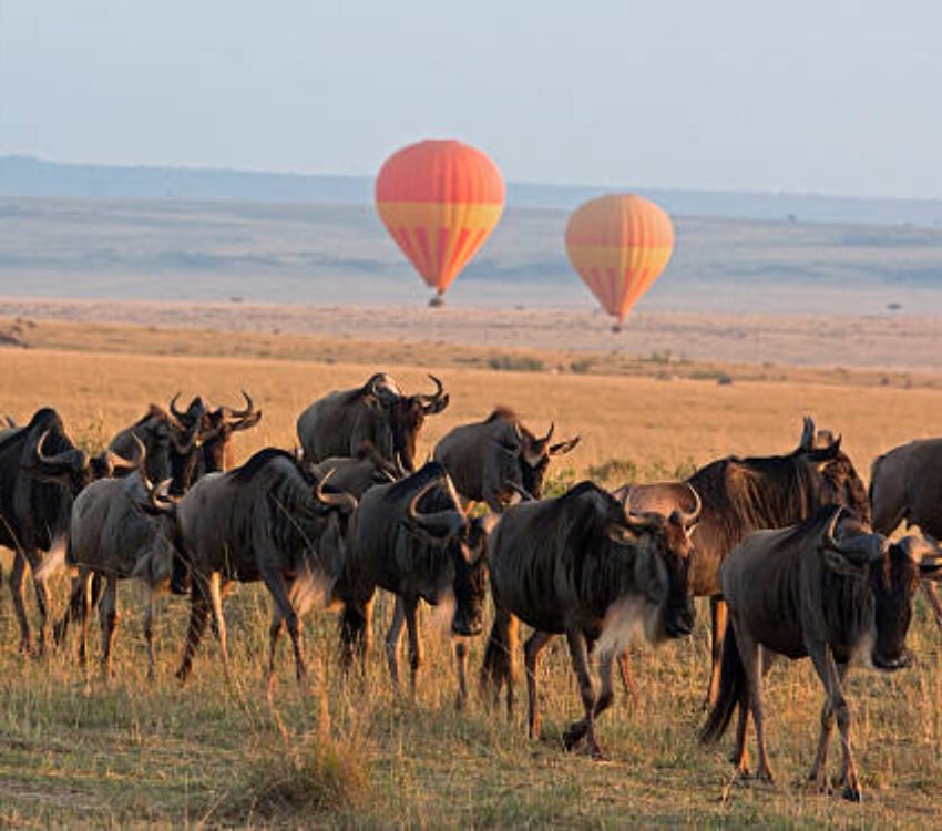 13 Days Bespoke Honeymoon Safari and Beach 2026/2027