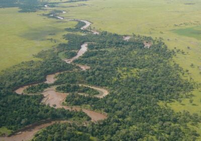 Is Mara Triangle the Quiet Gateway to the Great Migration in African Savannah ?
