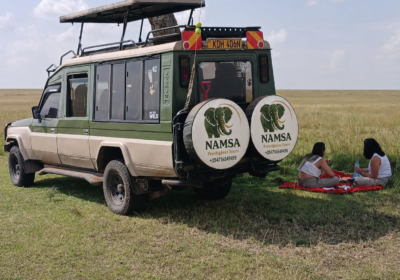 Best Time to Visit Maasai Mara: A Complete Guide for the Safari of Your Dreams