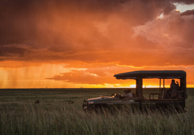 What Makes Naboisho Conservancy the Best Maasai Mara Safari Destination in Kenya?