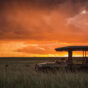 What Makes Naboisho Conservancy the Best Maasai Mara Safari Destination in Kenya?