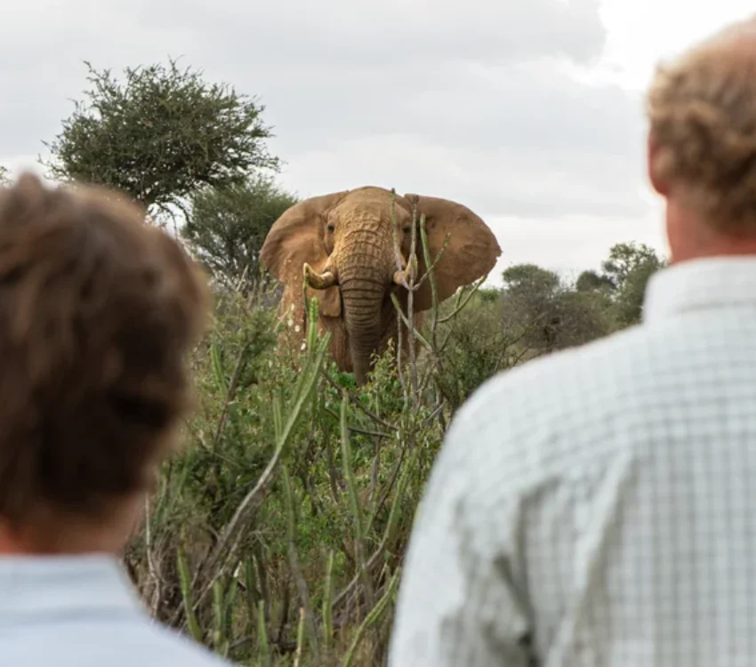 11 Days Kenya Special Five and Big Five Safari 2026/2027
