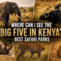 When Is the Best Time to See the Great Wildebeest Migration in Kenya?