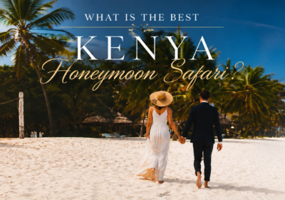 What Is the Best Kenya Honeymoon Safari?