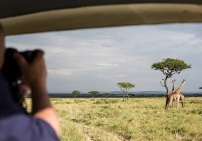 Can You See the Big Five in the Maasai Mara?