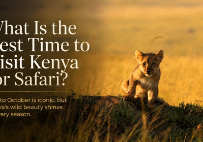 Best Time to Visit Kenya for Safari: Complete Guide