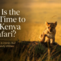 Best Time to Visit Kenya for Safari: Complete Guide