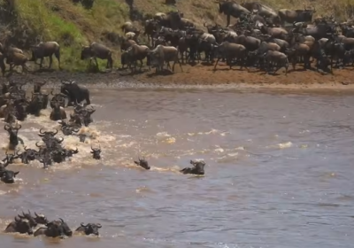 Best Kenya Safari Itinerary for First-Time Visitors