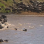 Best Time to Visit Kenya for Safari: Complete Guide