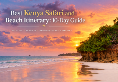 What Is the Best Safari and Beach Itinerary in Kenya?